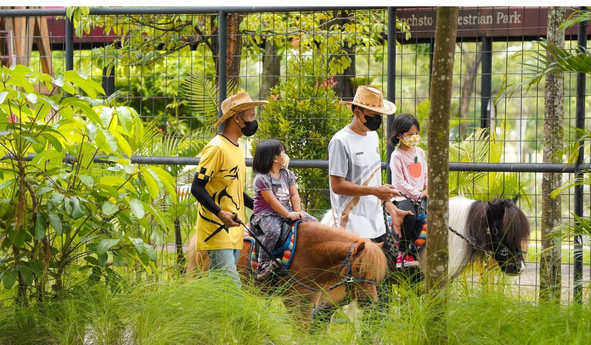 playground outdoor di jabodetabek, taman bermain anak, Branchsto Equestrian Park