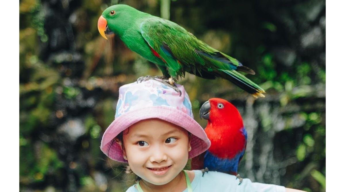 playground outdoor di jabodetabek, taman bermain anak, allianz ecopark ancol