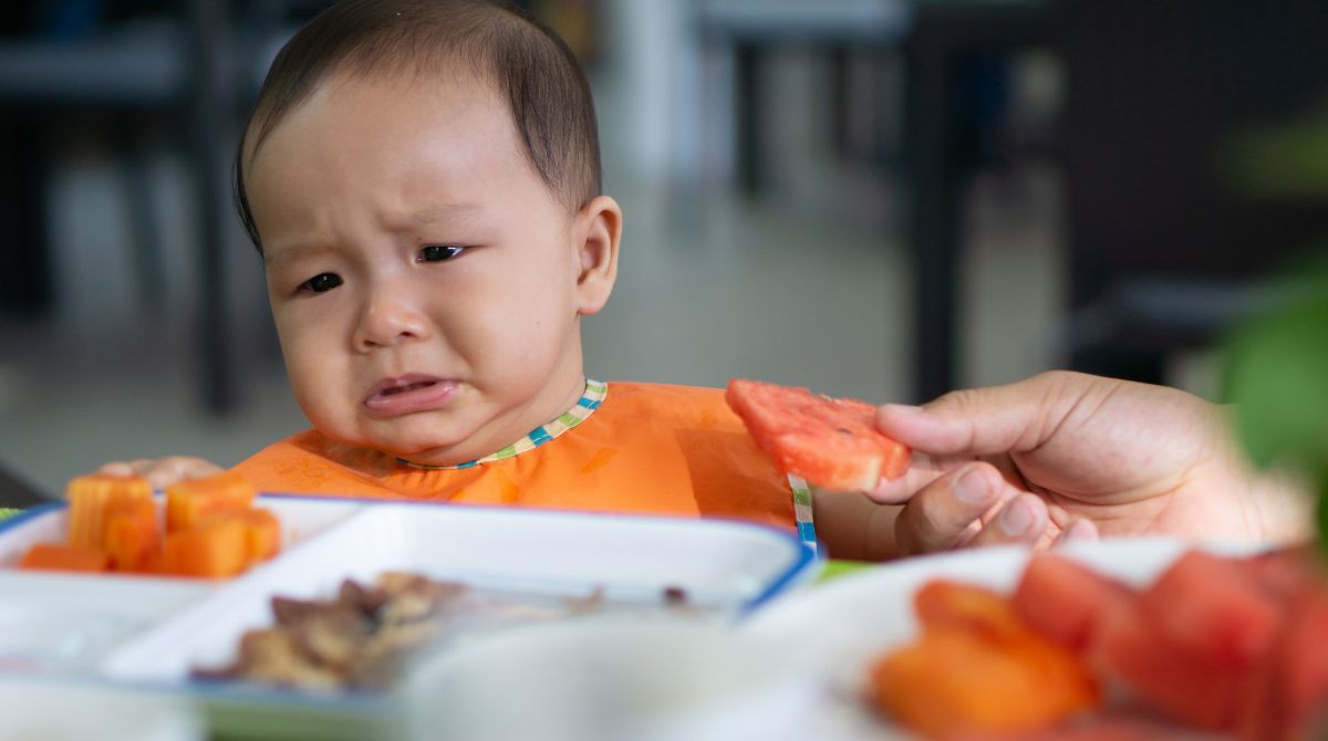 resep makanan anak 1 tahun susah makan, anak susah makan, tips agar anak mau makan, anak GTM