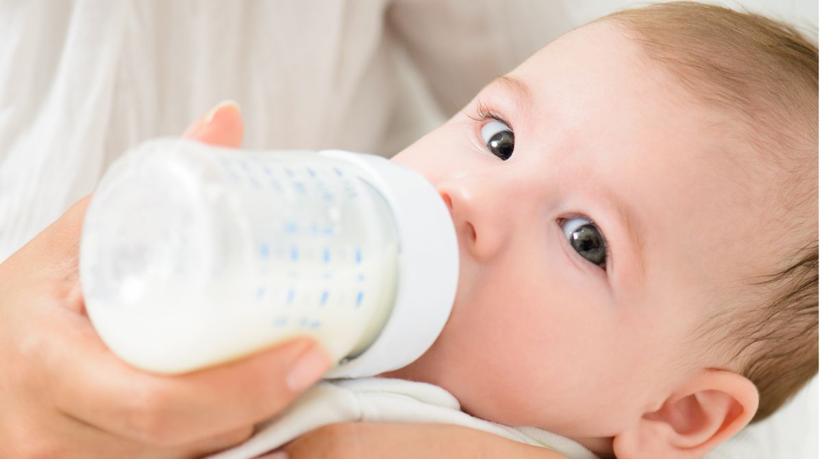 botol susu bayi terbaik, bayi minum susu