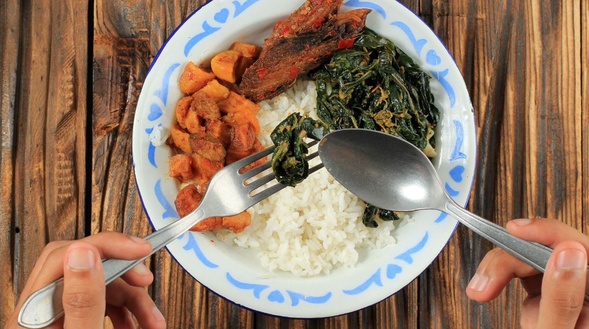 bolehkah penderita diabetes makan nasi, makanan untuk penderita diabetes, pengidap diabetes