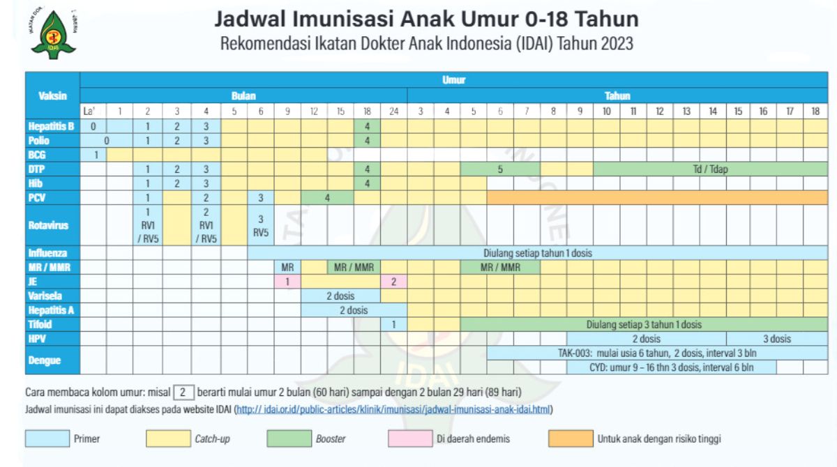 imunisasi anak, jadwal imunisasi 2023