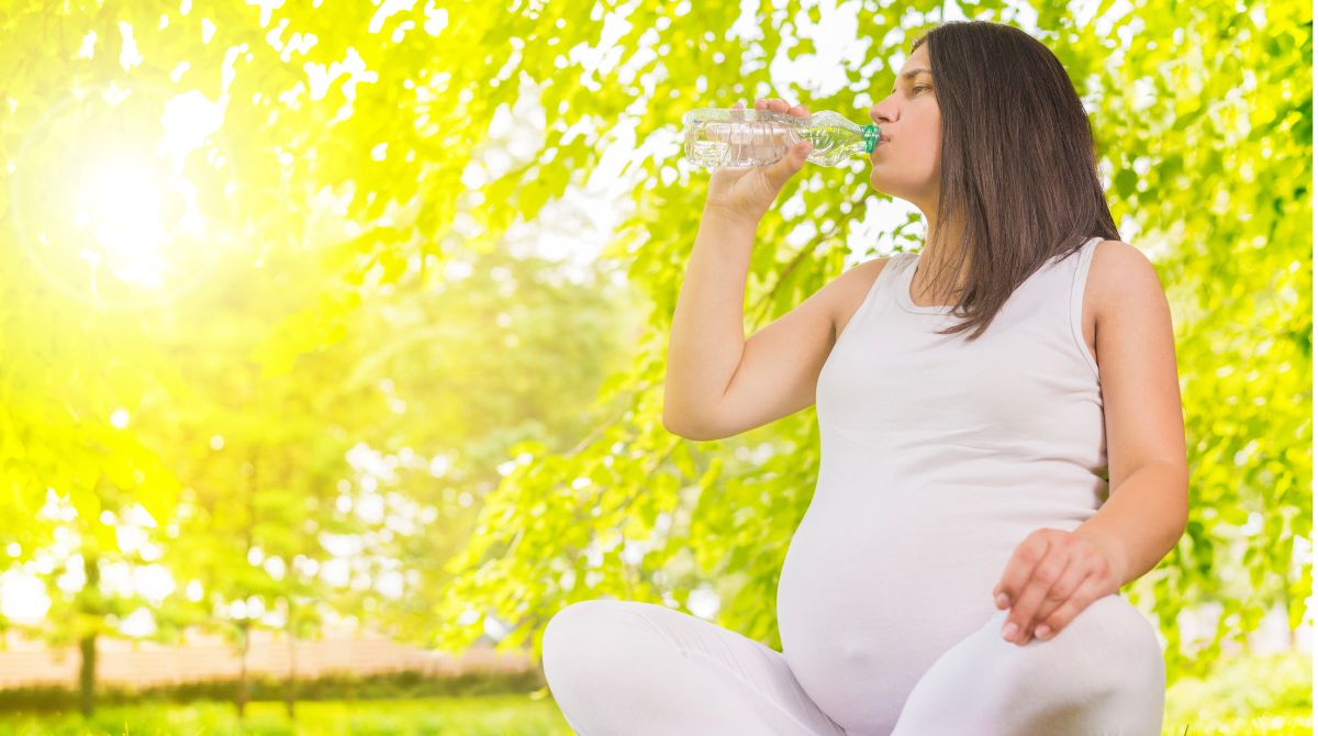 porsi makanan ibu hamil, ibu hamil minum air putih