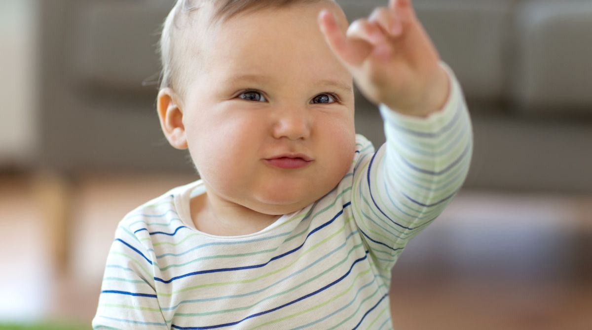 arti nama reynand, anak laki-laki, bayi laki-laki