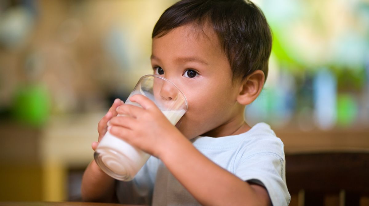 susu ikan, nutrisi susu ikan, anak minum susu