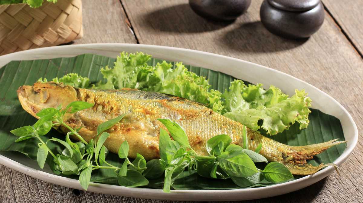 ikan bandeng untuk ibu hamil, ikan bandeng