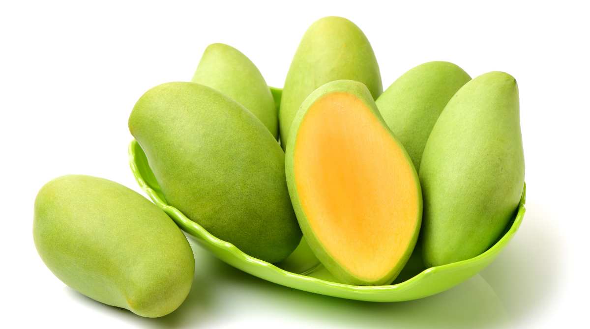 mangga untuk ibu hamil, kandungan gizi mangga
