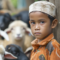 Ajak Anak Lihat Pemotongan Kurban