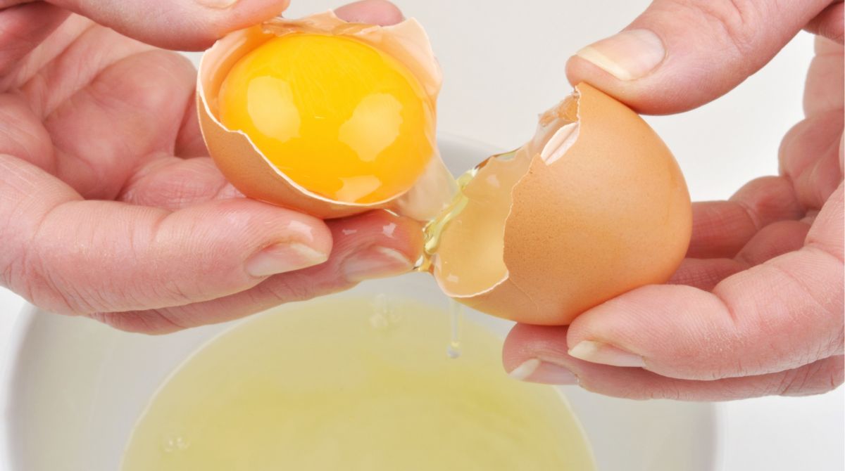 bayi diberi telur mentah, telur mentah